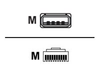 [CBL-U10755-01] Zebra Kabel für Barcode-Scanner - USB (M)
