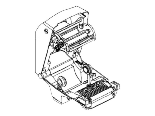 [G105910-066] Zebra Obere Abdeckungsaufnahme