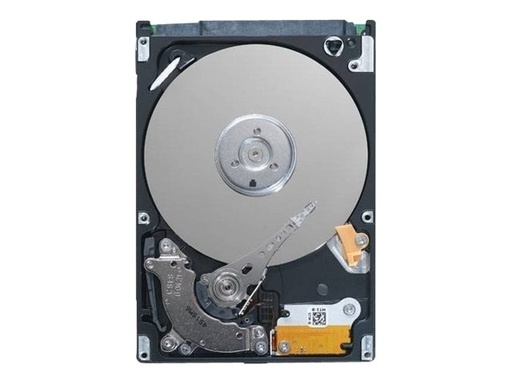 [400-AVBP] Dell  Kunden-Kit - Festplatte - verschlüsselt - 2.4 TB - Hot-Swap - 2.5" (6.4 cm)