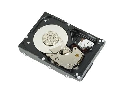 [400-BBFI] Dell SAS ISE 12Gbps 512n 2.5in Hot-plug Hard - Festplatte - Serial Attached SCSI (SAS)