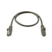 [S215097] Synergy 21 Patch-Kabel - RJ-45 m - - - UTP - Kategorie 5e - Kabel - Netzwerk