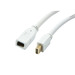 [S216366] Synergy 21 Kabel Video DisplayPort Mini 1.1> Mini BU/ST - Kabel - Digital/Display/Video