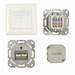 [S216358] Synergy 21 Dosen TP UP 2-fach CAT6A Reinweiss LSA senkrechter hinterer